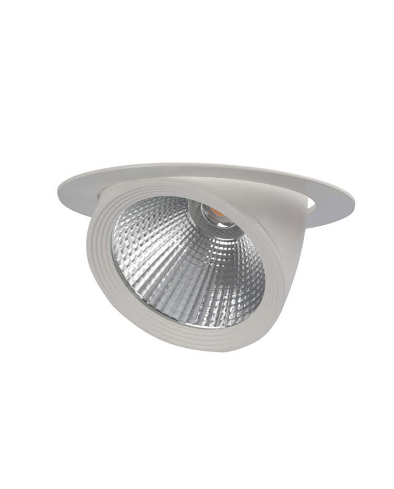 RAV2071.jpg RAV2071